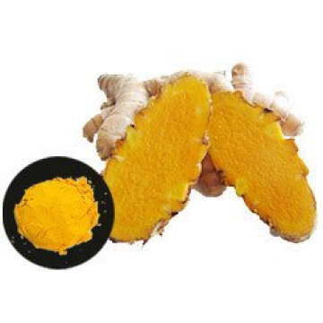 Curcumin de curcuma de haute qualité Chine pour l&#39;exportation